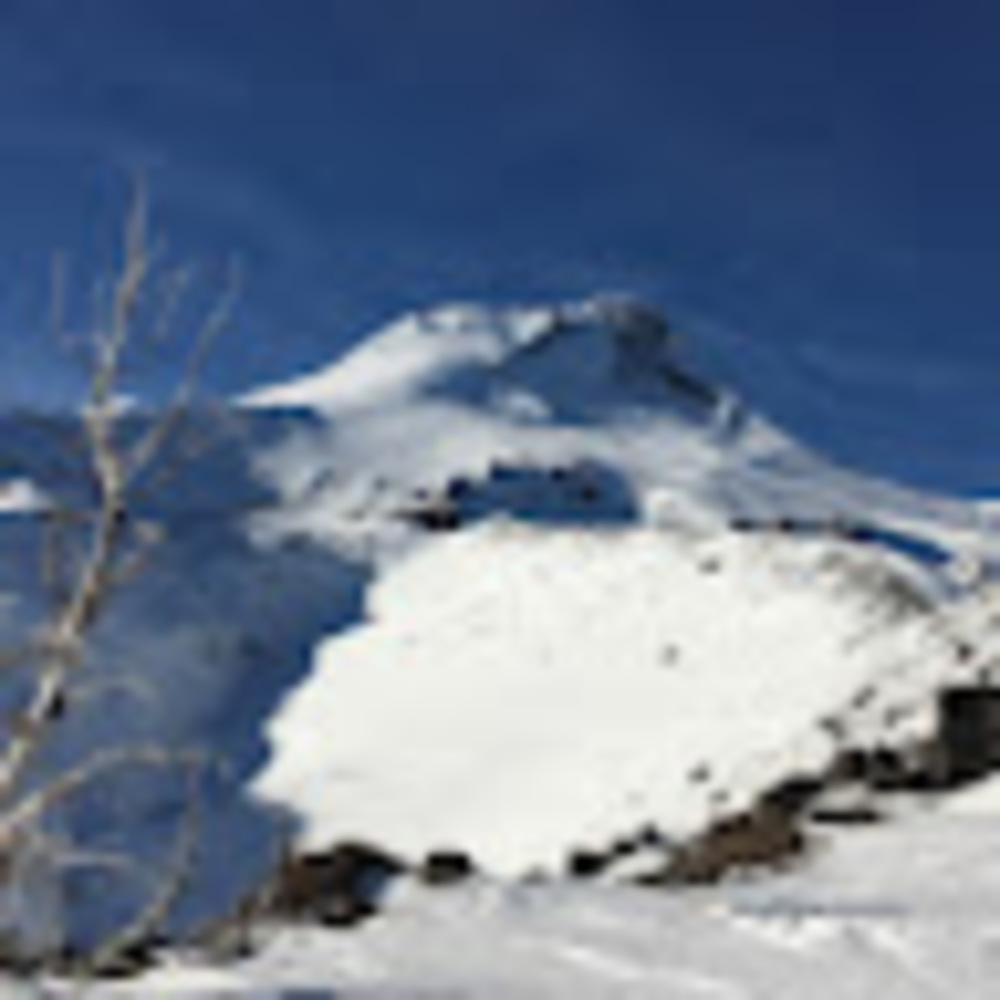 Meet your Posher, Grant